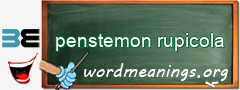 WordMeaning blackboard for penstemon rupicola